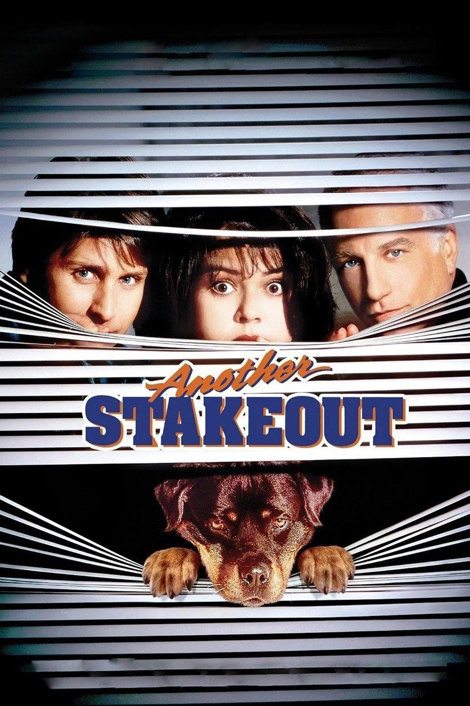 Постер Another Stakeout